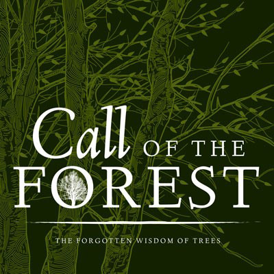 Movie Review: Call of the Forest - The Forgotten Wisdom of Trees