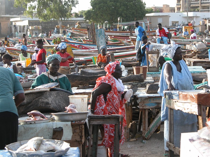 Fish Market Scenes