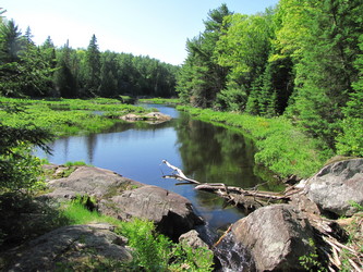 Sign The Protected Places Declaration Letter - Canadian Association For 