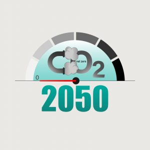 Measuring pointer display zero level as a gimmick of achieving net-zero CO2 emissions by 2050