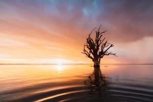 Sunset over Lake Bonney, South Australia