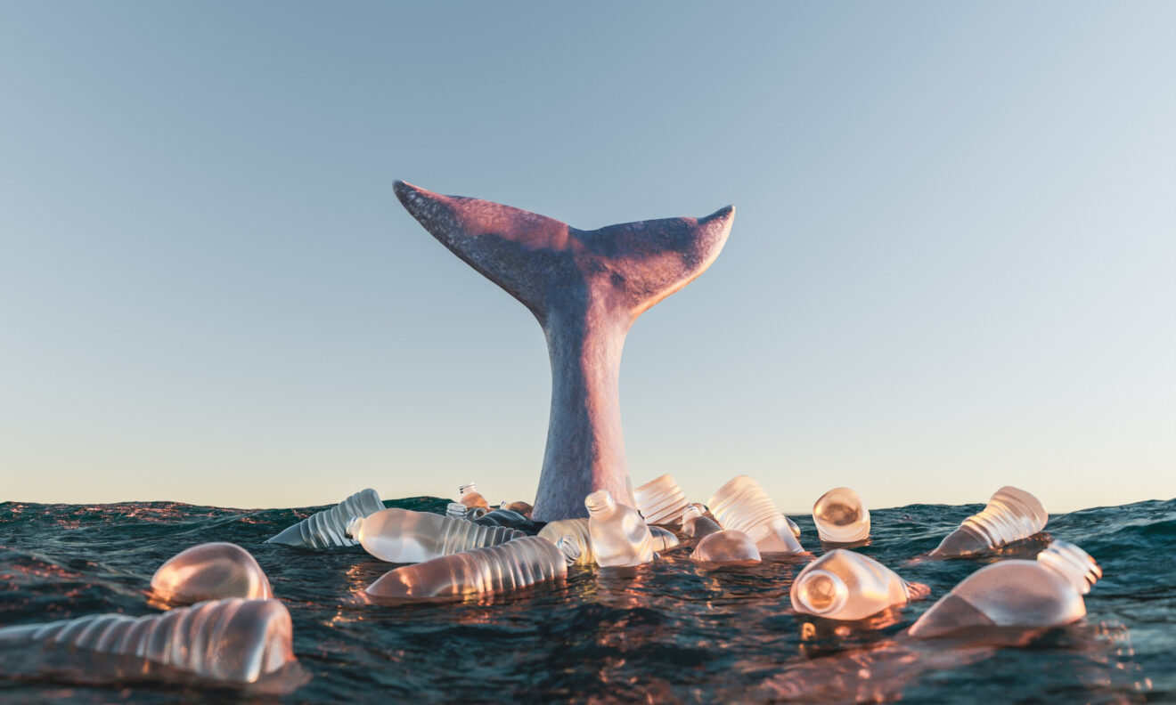 Whale tail in the ocean surrounded by plastic bottles