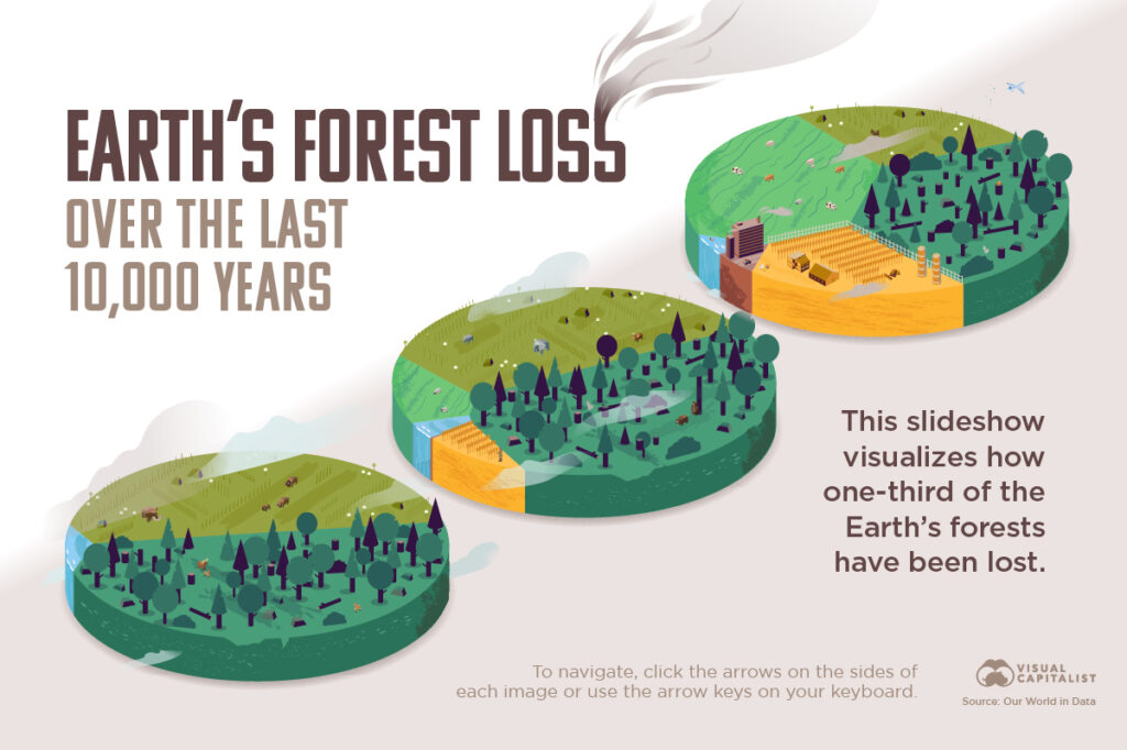 Visualizing the World’s Loss of Forests Since the Ice-Age - illustration