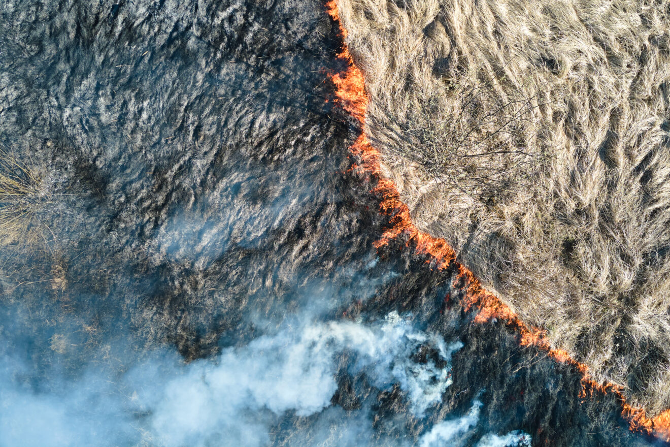 Aerial view of grassland field burning with red fire during dry season