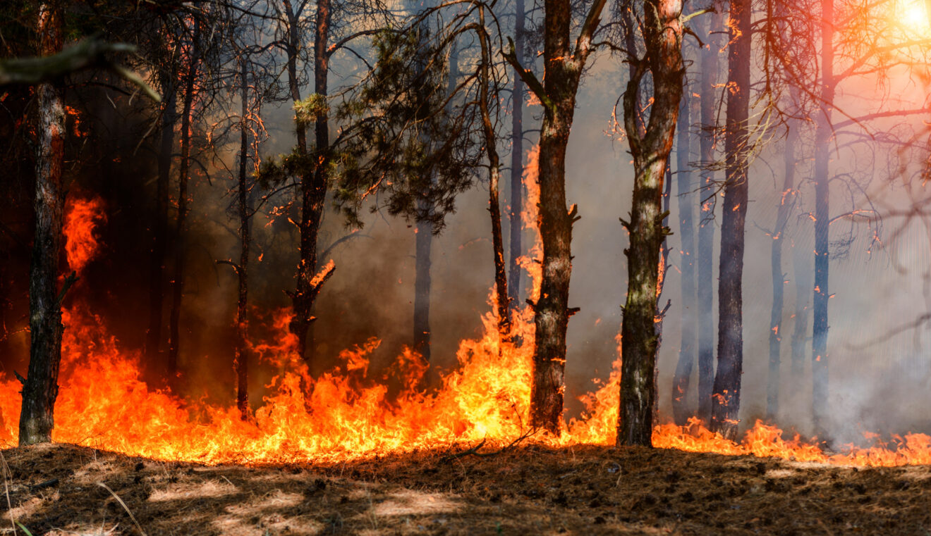 SDG&E turns increasingly microgrids, line undergrounding and upgrades to address wildfire threats