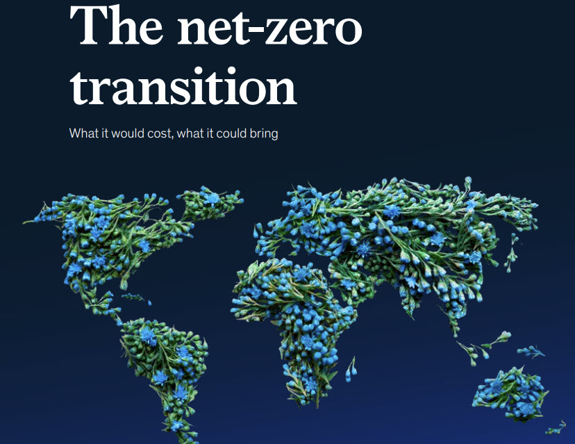 What would it take to fulfill the net-zero ambition?