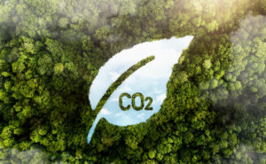 Bird's eye view of green forest with CO2 concept