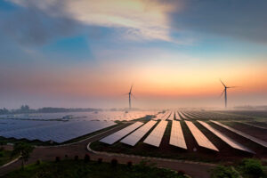 Solar farm at dawn
